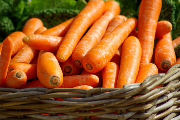 Carrot 'kuroda' - 250 seeds