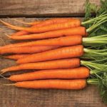 Carrot 'nantes' - 250 seeds