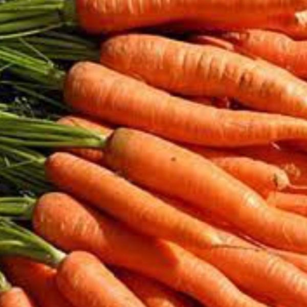 Carrot 'little finger' - 300 seeds
