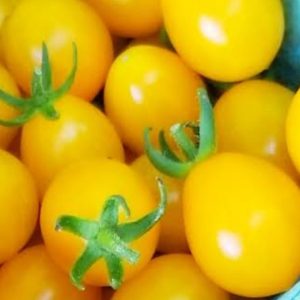 Tomato 'blondkopfchen' - 15 seeds