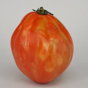 Tomato 'cuor di bue' - 10 seeds