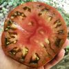 Tomato 'cherokee purple' - 10 seeds