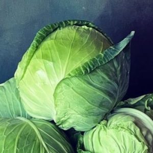 Cabbage 'glory of enkhuizen' - 100 seeds