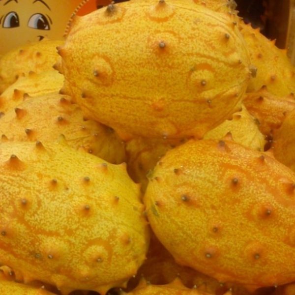 Kiwano - 20 seeds