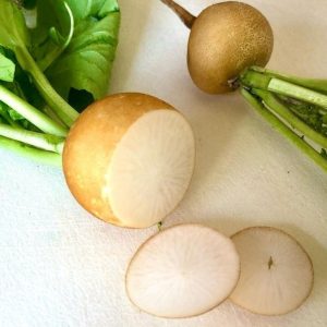 Golden helios radish - 25 seeds