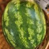 2024/11/Crimson_Sweet_watermelon.jpg Watermelon 'crimson sweet' - 10 seeds