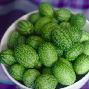 2025/08/20250103_114953.jpg Cucamelon - 5 seeds