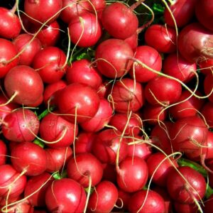 2025/08/20250824_210849.jpg Radish 'cherry belle' - 50 seeds