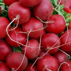 2025/08/20250824_210902.jpg Giant butter radish - 50 seeds