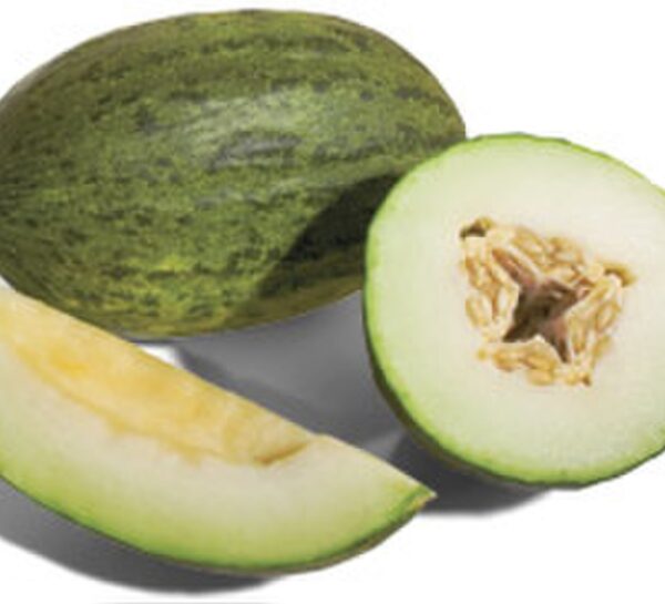 Melon 'piel de sapo' - 10 seeds