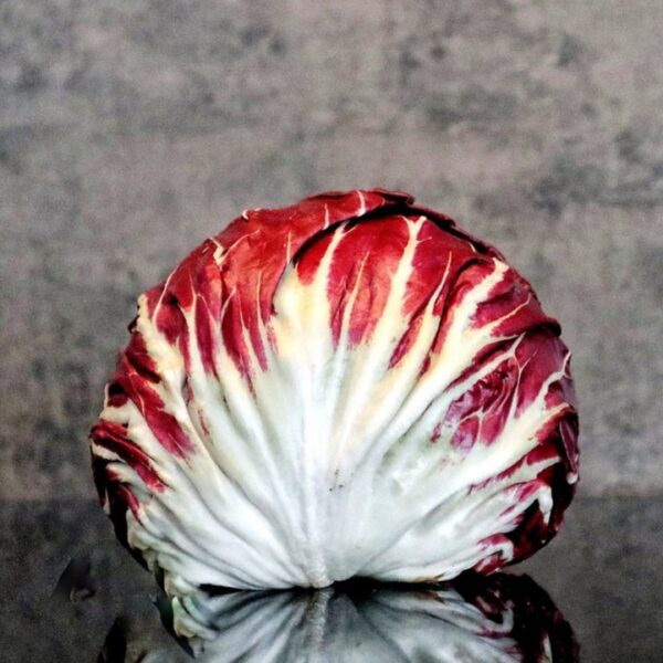 2025/08/20250825_075831.jpg Radicchio 'rossa treviso' - 50 seeds
