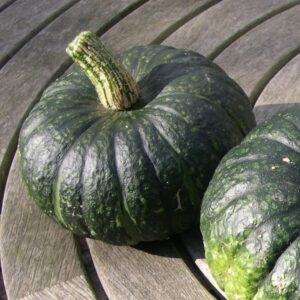 2025/08/20250826_200240.jpg Kabocha squash - 5 seeds