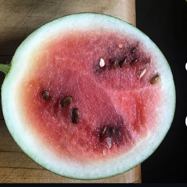 Watermelon 'sugar baby' - 10 seeds