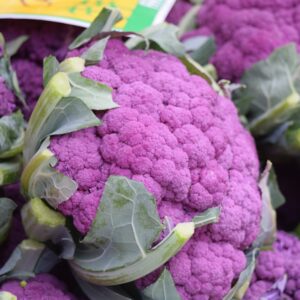 georilla-vegetables-1218701 Violet cauliflower - 25 seeds